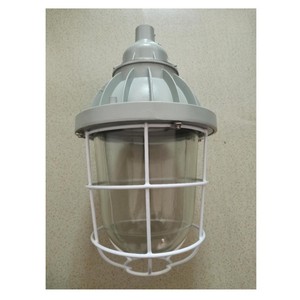 Luz LED a Prueba de Explosiones E27 Nema 4X T4 250 para Uso Industrial - Product Image 1