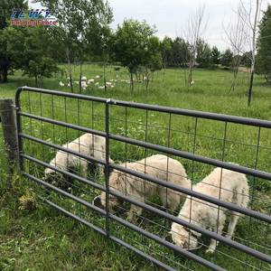 แผงกั้นแกะแพะแบบพกพาแผงกั้นแกะ - Product Image 3