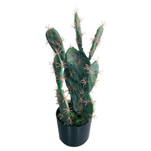 Mini type artificiel de cactus décoration arrangement intérieur extérieur plantes artificielles plantes vertes succulentes à vendre - Product Image 3