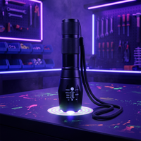 Mini lampe torche UV LED 395nm haute puissance, lampe d'inspection portable pour la détection de fluorescence et des bijoux