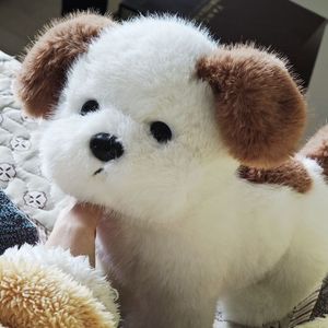 Juguete de Peluche Súper Suave para Perros, Diseño Personalizado, Material Ecológico, Alivio del Estrés, Regalo para Niños - Product Image 4