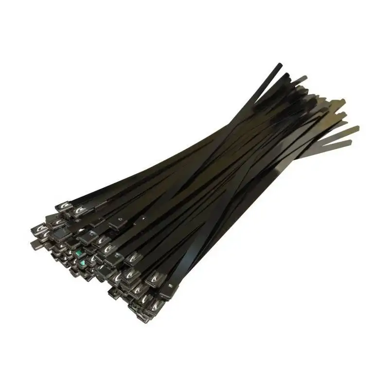 Tự Khóa Năng Lượng Mặt Trời Gắn Phụ Kiện Thép Không Gỉ 304 Bóng Khóa Loại Cable Tie