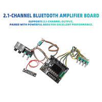 Amplificateur de puissance avec double microphone, sortie caisson de basses, 2.1 canaux, TPA3116D2, 50W*2+100W, carte amplificateur haute puissance