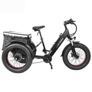 Tricycle électrique 750W pour personnes à mobilité réduite, E-Trike 20 pouces, 3 roues, pour adultes, entrepôt UE, vélo cargo électrique - Product Image 6