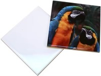 Carreau de porcelaine de sublimation personnalisé pour l'impression de carreaux de céramique de sublimation d'image