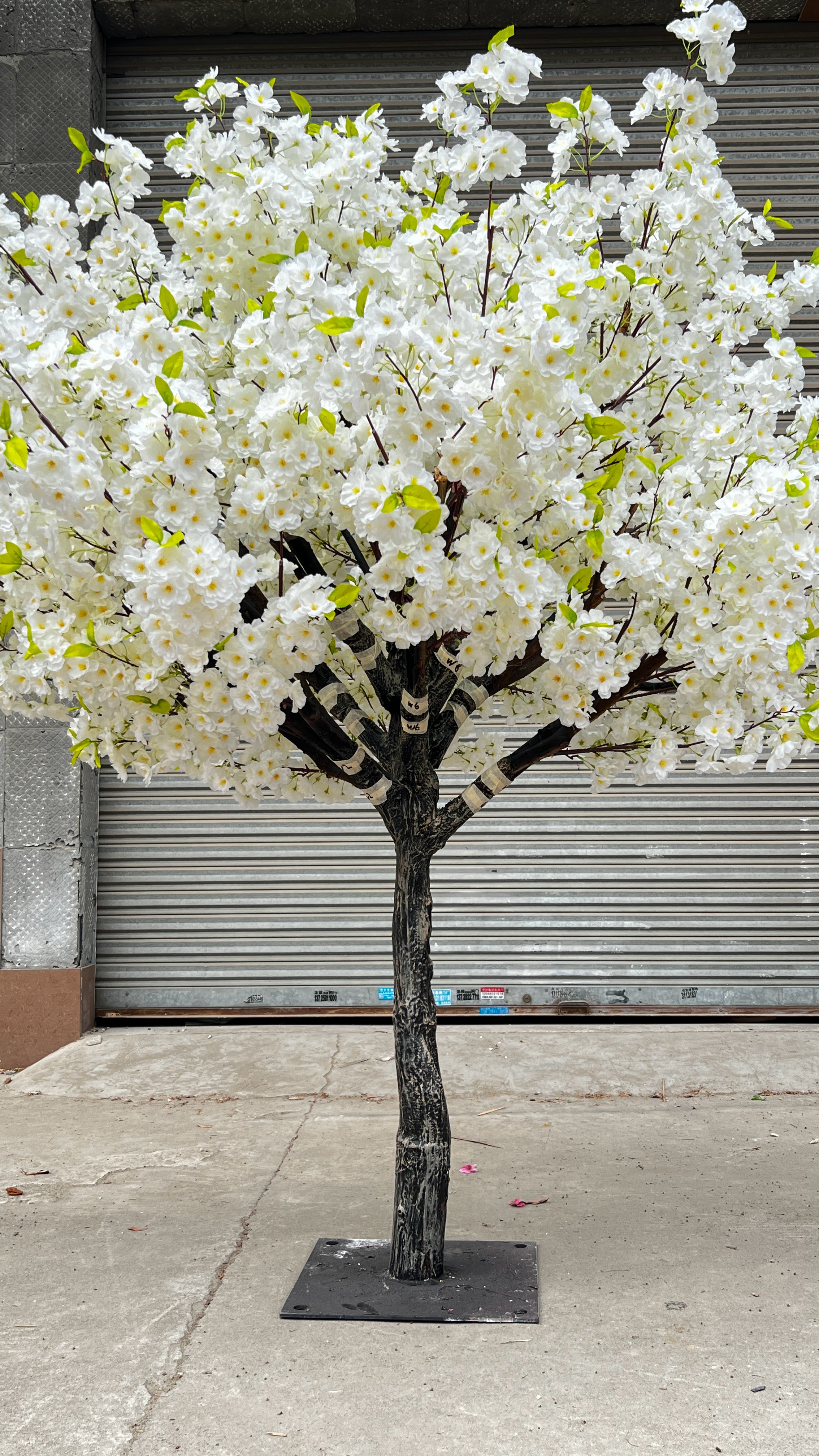 cherry tree backdrop