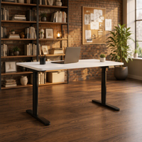 Bureau de bureau stable à double moteur automatique en acier, moderne, durable, avec pieds ovales