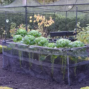 Red <span class=keywords><strong>de</strong></span> cría <span class=keywords><strong>de</strong></span> <span class=keywords><strong>caracoles</strong></span> no tóxica <span class=keywords><strong>de</strong></span> HDPE <span class=keywords><strong>de</strong></span> alta calidad con <span class=keywords><strong>malla</strong></span> <span class=keywords><strong>de</strong></span> plástico resistente a los rayos UV <span class=keywords><strong>para</strong></span> la cría <span class=keywords><strong>de</strong></span> <span class=keywords><strong>caracoles</strong></span> Red <span class=keywords><strong>de</strong></span> <span class=keywords><strong>caracoles</strong></span> negros - Product Image 1