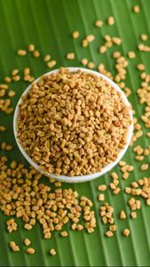 Lentilles brunes entières, céréales naturelles biologiques, graines comestibles sèches, aliments DALAI IMPEX Orissa ovales - Product Image 5