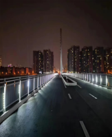 Barrière de projecteur LED pour éclairage de pont piétonnier en acier inoxydable pour projets municipaux
