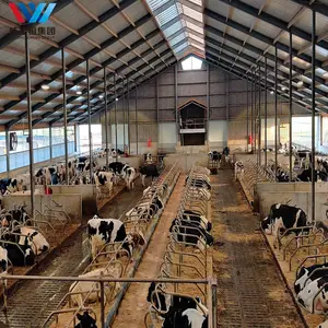 טרומי פלדה מבנה רפת חלב פרה הבקר Shed החווה באסמים בית