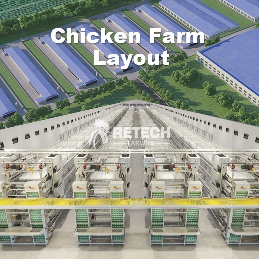Matériel agricole Conception Couche De Poulet Cages D'oiseaux Poules Pondeuses