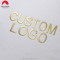Étiquettes métalliques personnalisées à lettres anglaises couleur dégradée, logo 3D en TPU gaufré écologique, patchs thermocollants pour vêtements, chemises, sacs