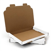 Boîte postale à fentes pour lettres grand format AKAR White C5/A5 - Carton - Compatible Royal Mail Pip Box [Lot de 50]