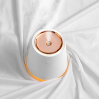 Humidificateur d'air évaporatif de bureau portable de 500 ml, humidificateur d'air électrique pour chambre à coucher, bureau, bureau, température constante, brume USB