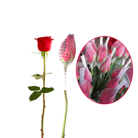 Vente directe du fabricant bouteille en verre PP Durable filet de protection PE sac en plastique emballage Rose protecteur manchon de filet en maille