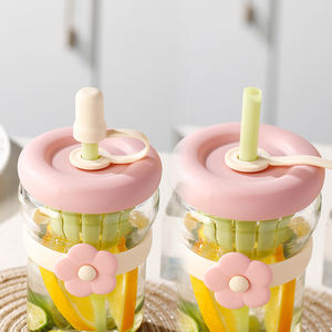 Infusore di tè di fantasia Premium 500ml <span class=keywords><strong>per</strong></span> bambini acqua Sippy <span class=keywords><strong>tazza</strong></span> di vetro bicchiere <span class=keywords><strong>per</strong></span> le donne 16oz succo di Matcha caffè sistper bottiglia con paglia - Product Image 5