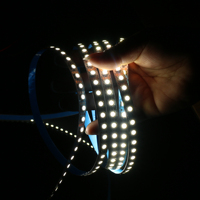 Kontrol Aplikasi yang Dapat Diprogram, Strip LED Pintar yang Dapat Diatur Alamatnya RGB IC 5050 SK6813 Pixel 12V DC dengan IC Terintegrasi