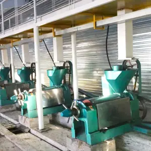 Vegetable Oil Press Machine/ Sesame Oil Press