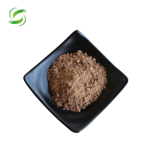 Extracto de Vitex Agnus Castus, extracto de baya de árbol casto en la esterilización femenina - Product Image 1