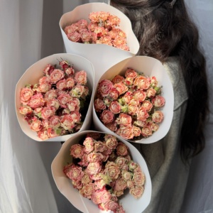 Flores de Rosa Secas de Alta Qualidade para o Dia das Mães, Formaturas, Natal, Velas Aromáticas para Casa, Decoração de Casamento DIY, Flores REAIS de Longa Duração - Product Image 2