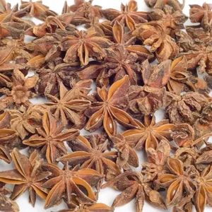 Wholesale Star High Quality Dried Spice Dried Star Anise Grade Brown Raw Single Herbs and Spices Dried Star Anise