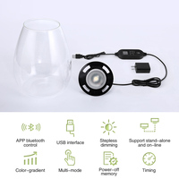 WEEK AQUA Bryophyte Lumière Verre Écologique COB LED Bouteille Micropaysage Lampe De Bureau Lumière Pour Micro-Paysage Éclairage