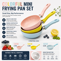Set Wajan Mini Warna-warni 12/14/16cm Anti Lengket dengan Dasar Induksi Mudah Dibersihkan, Wajan Omelet Kecil