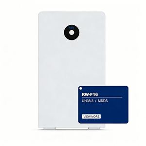 Deye Storage Battery RW-F16 LV Lithium Battery 51.2V 314Ah 16.07kwh Home Use LiFePO4 Battery - Product Image 1