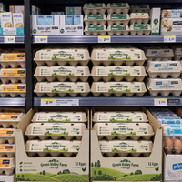 Vente Flash : Barquettes à œufs jetables populaires en pâte à papier, 8 alvéoles, recyclables