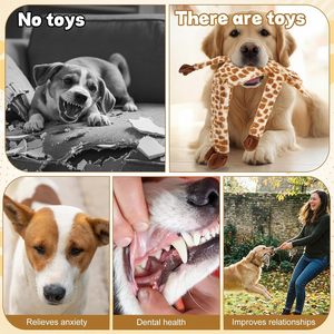 Producto para Mascotas, 20 Años de Experiencia, Juguetes Profesionales para Mascotas, Juguete de Peluche para Perros, Juguetes Ecológicos para Mascotas, Suministros para Mascotas al por Mayor - Product Image 4