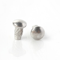 Stainless Steel304 Indication Plate Rivet Rivets for Name Plate
