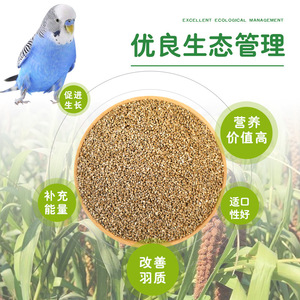 Mélange de graines pour oiseaux, pour perroquets, perruches, calopsittes, gouramis, conteneur en plastique de 1200ml, nourriture réutilisable pour animaux de compagnie - Product Image 2