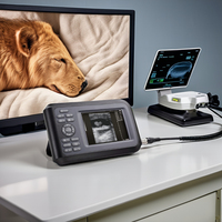 Appareil d'échographie vétérinaire portable Animal Diagnostic VET6 Dawei, écran LED HD 5,6 pouces, garantie 1 an, diagnostic de grossesse et de maladies