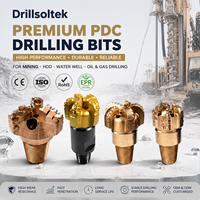 Производитель буровых инструментов Drillsoltek PDC с услугами глобального экспорта