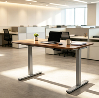 Cadre de bureau assis-debout certifié CE RoHS, 1 pièce MOQ, réglage en 2 étapes, double moteur, conception avec patins antidérapants