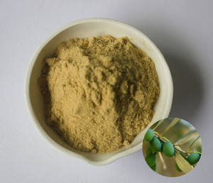 Lagerbestand 10%-80% Oleuropein-Reiches Olivenblatt-Extrakt-Pulver Pflanzenextrakt von Höchster Qualität - Product Image 2