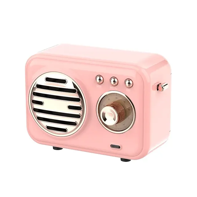 W13 Portable Speaker Wireless Speakers With 5.3 Stereo FM/SD/USB Disk/Aux Modes Waterproof for Outdoor Hifi Sound
