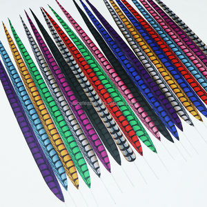 Wholesale Dyed Artificial Lady Amherst Pheasant Long Feathers for Carnival Costume <strong>Festival</strong> Samba <strong>Decorations</strong> - Product Image 1