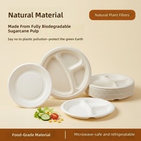 Assiette jetable en bagasse 10 pouces 3 compartiments biodégradable compostable écologique sans PFAS 50 paquets étanche