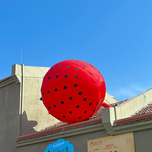 <span class=keywords><strong>Airfun</strong></span> Inflable Maíz Globo Inflable Planta Dibujos Animados - Product Image 4