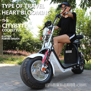 Halley Citycoco Scooter électrique 1500w/2000w vitesse moteur batterie au lithium alliage d'aluminium produit de haute qualité de l'entrepôt hollandais - Product Image 6