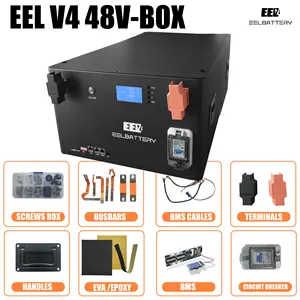 EEL Grade A EU Stock Boîte de batterie vide 48V 280Ah Batterie de stockage d'énergie 302ah Cellules LiFePO4 DIY Boîtier métallique avec BT BMS
