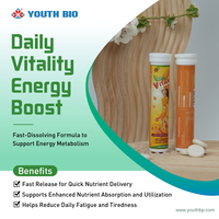 Comprimés effervescents de vitamine C Superfood pour la résilience des professionnels, marque privée, vente en gros, approvisionnement en vrac, 1000 mg, 20 comprimés