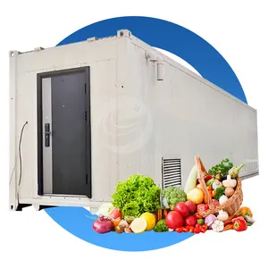 ORME Machine hydroponique automatique pour fourrage vert pour bovins Conteneur agricole de 40 pieds pour la culture d'aliments