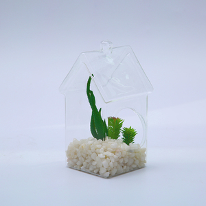 Transparente Hausform Glasvase <span class=keywords><strong>Terrarium</strong></span> mit Loch - Product Image 6