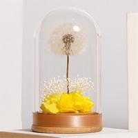 TC venta al por mayor diente de león natural flores preservadas cúpula de cristal decoración del hogar para regalo del Día de San Valentín para novia esposa mamá