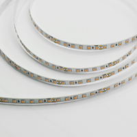 Bande lumineuse à LED RVB super lumineuse approuvée CE/Rohs 24V/12V SMD 2835 haute densité 120LED/M pour clubs, bars et lieux de divertissement