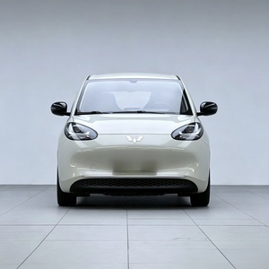 Wuling BINGUO EV 2024 Usado, Mini Auto Eléctrico de 4 Asientos en <span class=keywords><strong>Venta</strong></span>, Alternativa Económica - Product Image 3