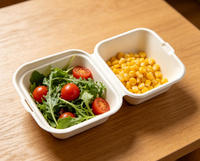 Conteneur alimentaire en bagasse sans PFAS de 8,5 pouces avec couvercle, micro-ondable, biodégradable, boîte à lunch pour le camping